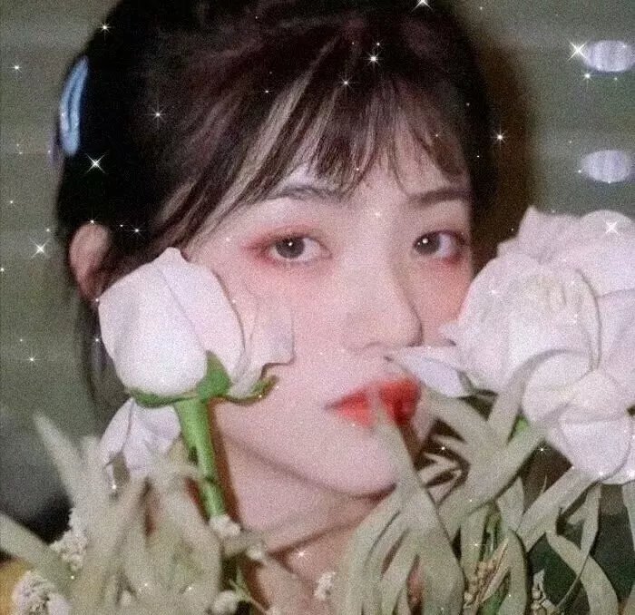 查科