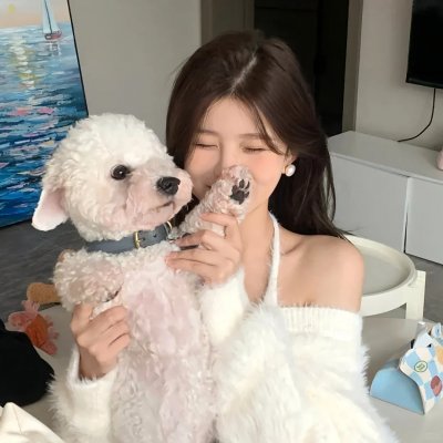 寻找牛腿琴