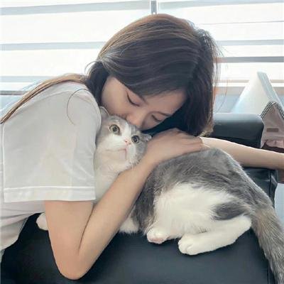 南波万的聚会第二季